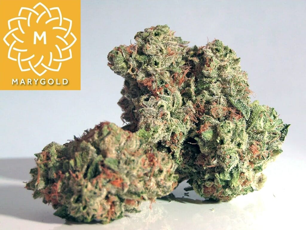 MaryGold Cannabis Flower