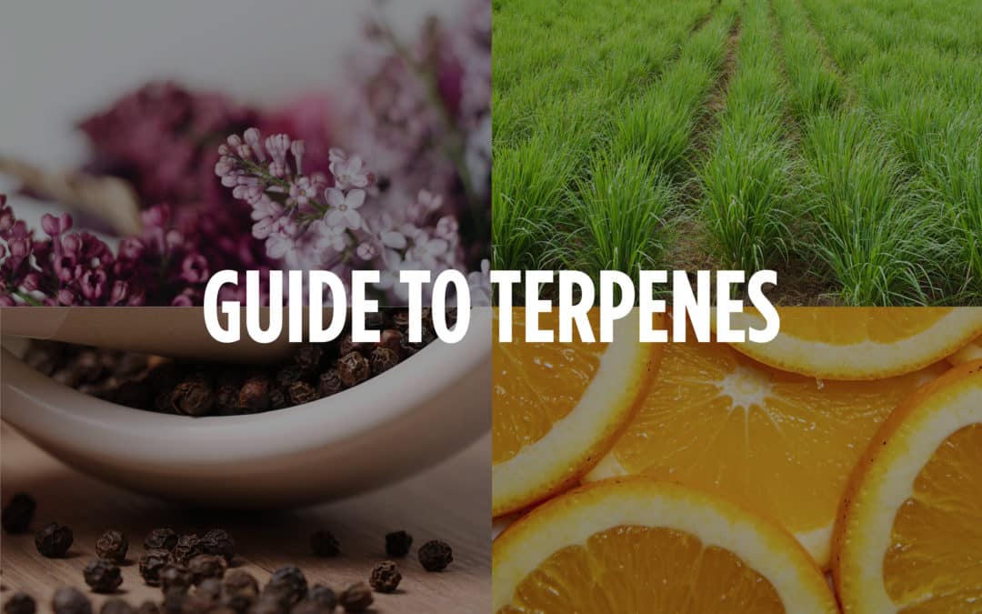 An Introduction to Terpenes