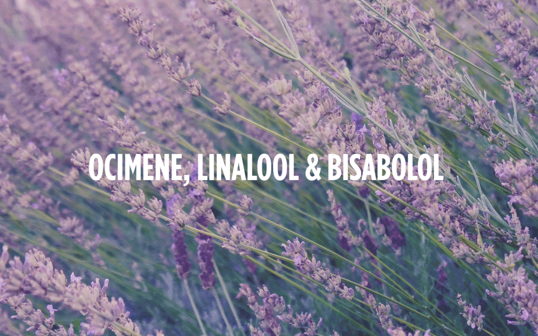 Introduction to Terpenes — Ocimene, Linalool & Bisabolol